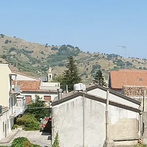 Agrumi Linguaglossa